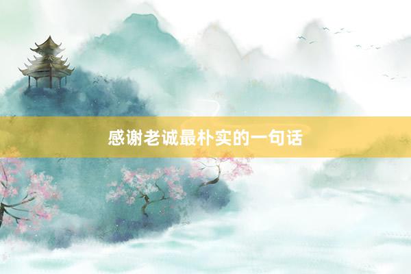 感谢老诚最朴实的一句话