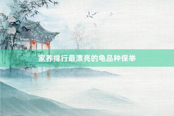 家养排行最漂亮的龟品种保举