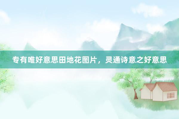 专有唯好意思田地花图片，灵通诗意之好意思