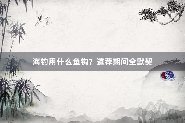 海钓用什么鱼钩？遴荐期间全默契